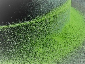 maccha hikiusu (3)